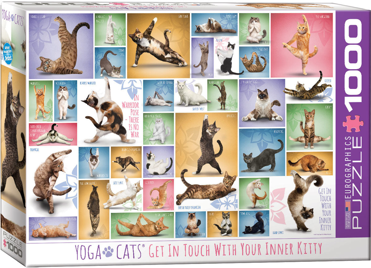 Puzzle: Eurographics 1000 Yoga Cats | Impulse Games and Hobbies