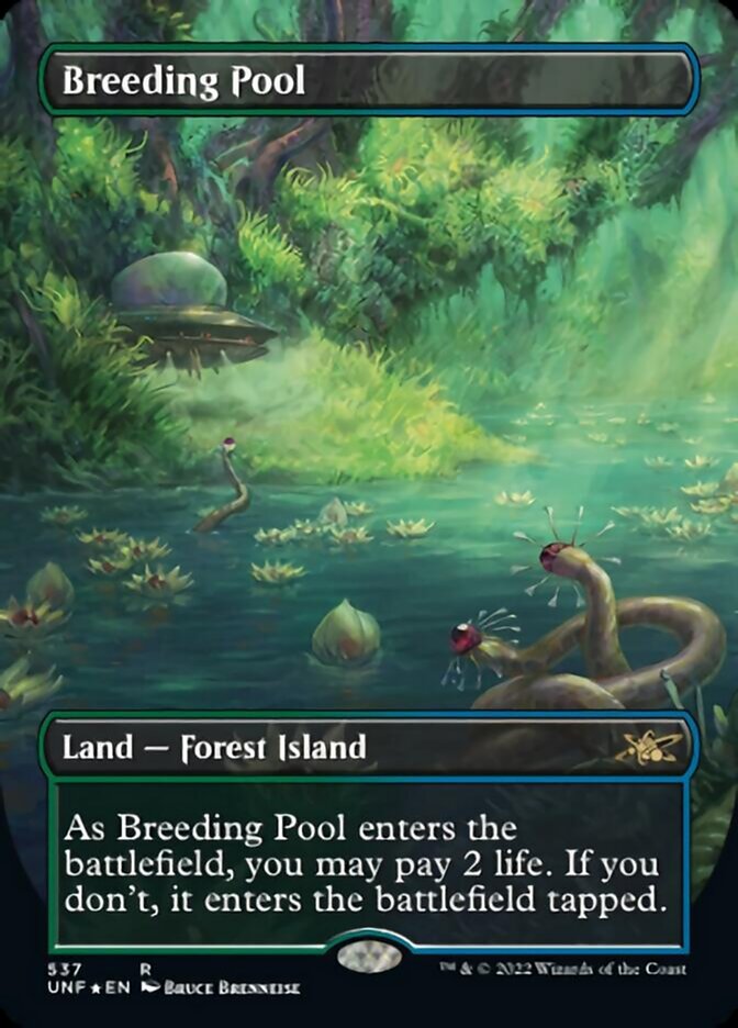 Breeding Pool (Borderless) (Galaxy Foil) [Unfinity] | Impulse Games and Hobbies