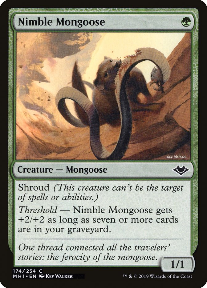 Nimble Mongoose [Modern Horizons] | Impulse Games and Hobbies