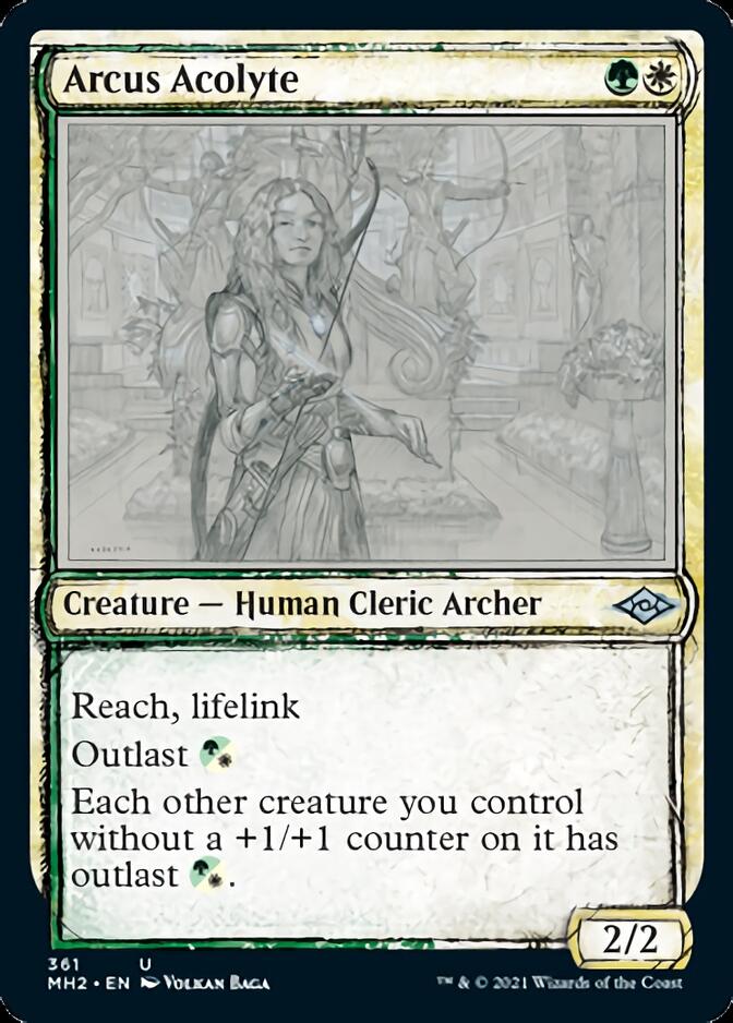 Arcus Acolyte (Sketch) [Modern Horizons 2] | Impulse Games and Hobbies