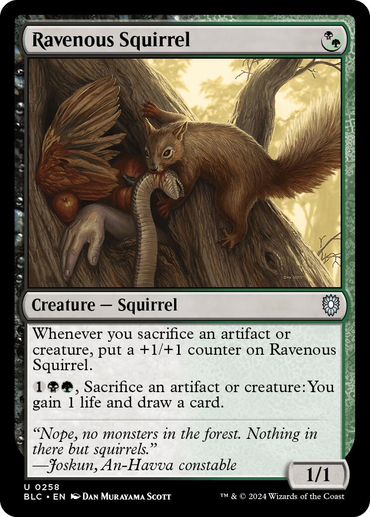 Ravenous Squirrel [Bloomburrow Commander] | Impulse Games and Hobbies