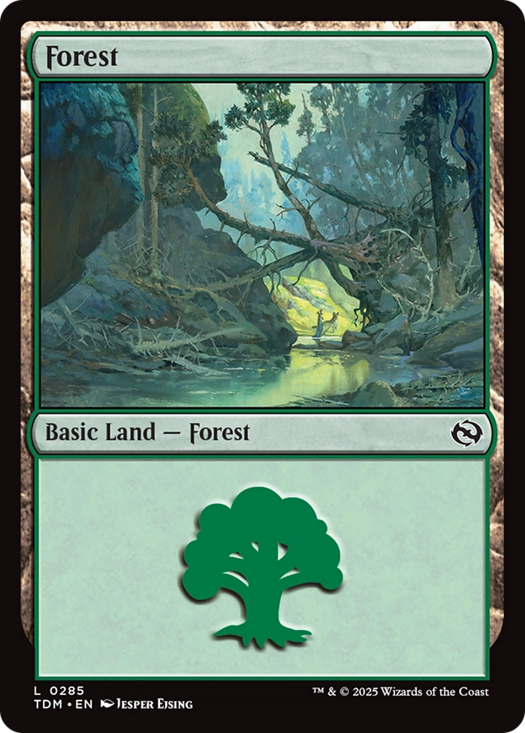Forest (0285) [Tarkir: Dragonstorm] | Impulse Games and Hobbies