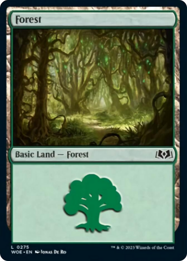 Forest (0275) [Wilds of Eldraine] | Impulse Games and Hobbies