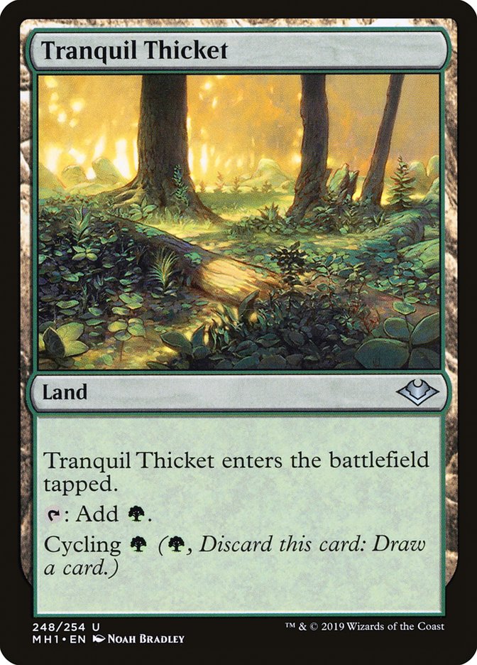 Tranquil Thicket [Modern Horizons] | Impulse Games and Hobbies