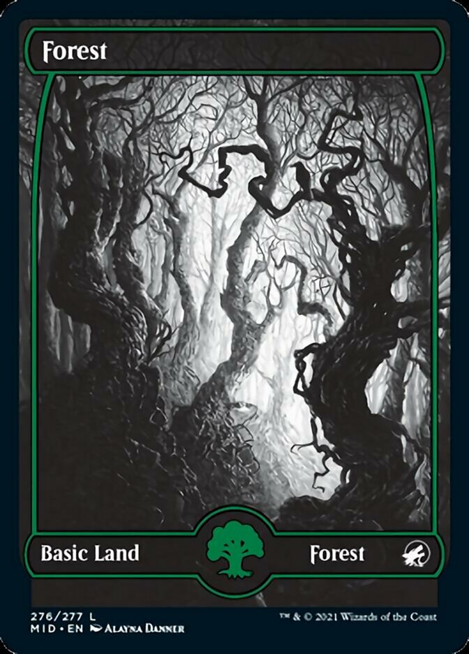 Forest (276) [Innistrad: Midnight Hunt] | Impulse Games and Hobbies