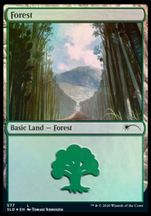 Forest (Walls) (577) [Secret Lair Drop Promos] | Impulse Games and Hobbies