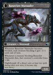 Baneblade Scoundrel // Baneclaw Marauder [Innistrad: Midnight Hunt] | Impulse Games and Hobbies