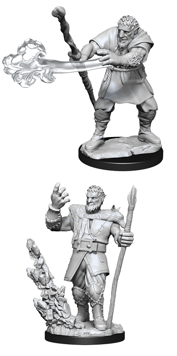 DND UNPAINTED MINIS WV11 MALE FIRBOLG DRUID | Impulse Games and Hobbies