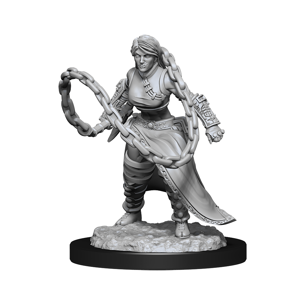 DND Unpainted Minis WV14 Human Monk Female | Impulse Games and Hobbies