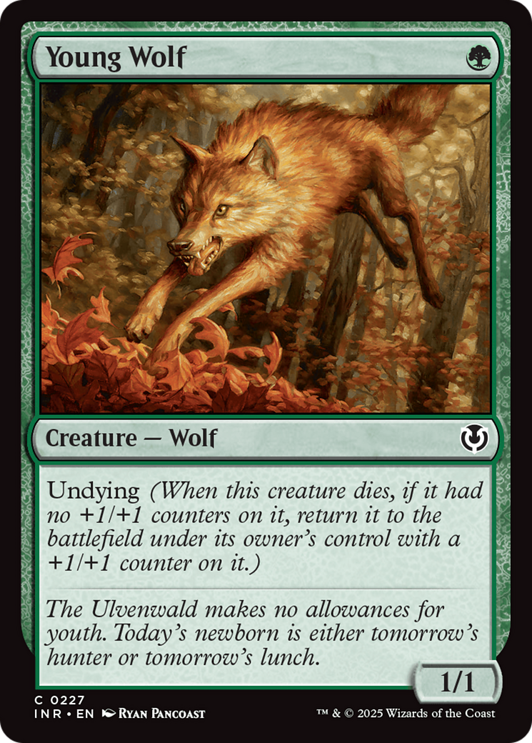 Young Wolf [Innistrad Remastered] | Impulse Games and Hobbies