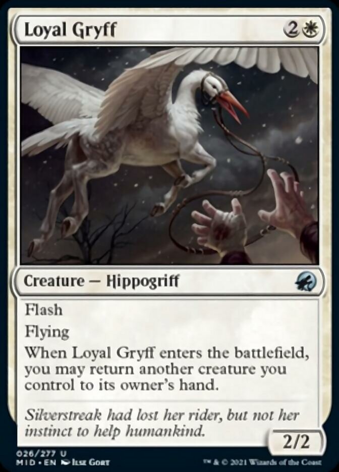 Loyal Gryff [Innistrad: Midnight Hunt] | Impulse Games and Hobbies