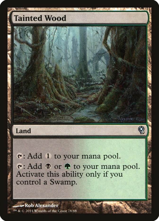 Tainted Wood [Duel Decks: Jace vs. Vraska] | Impulse Games and Hobbies