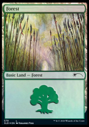 Forest (Elves) (579) [Secret Lair Drop Promos] | Impulse Games and Hobbies