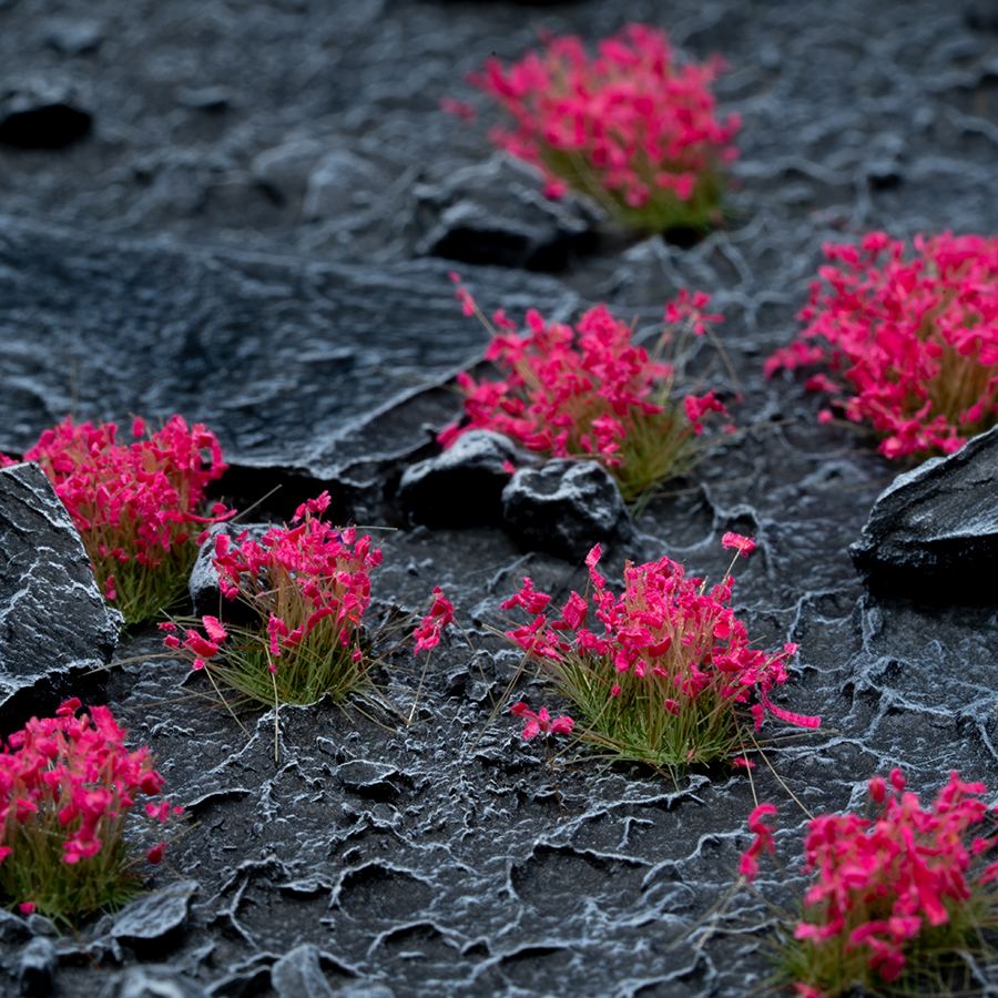 Gamers Grass - Pink Flowers - Wild | Impulse Games and Hobbies