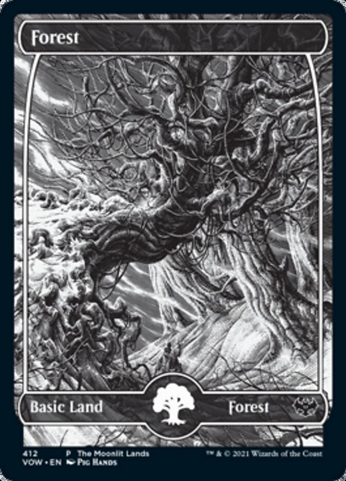 Forest (The Moonlit Lands) (Foil Etched) [Innistrad: Crimson Vow Promos] | Impulse Games and Hobbies