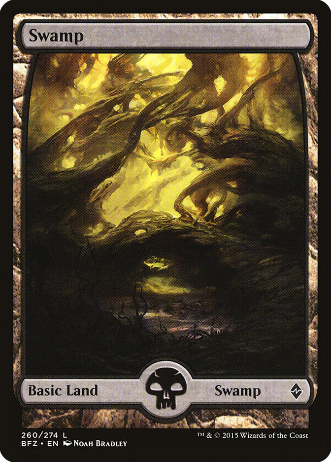 Swamp (260) (Full Art) [Battle for Zendikar] | Impulse Games and Hobbies