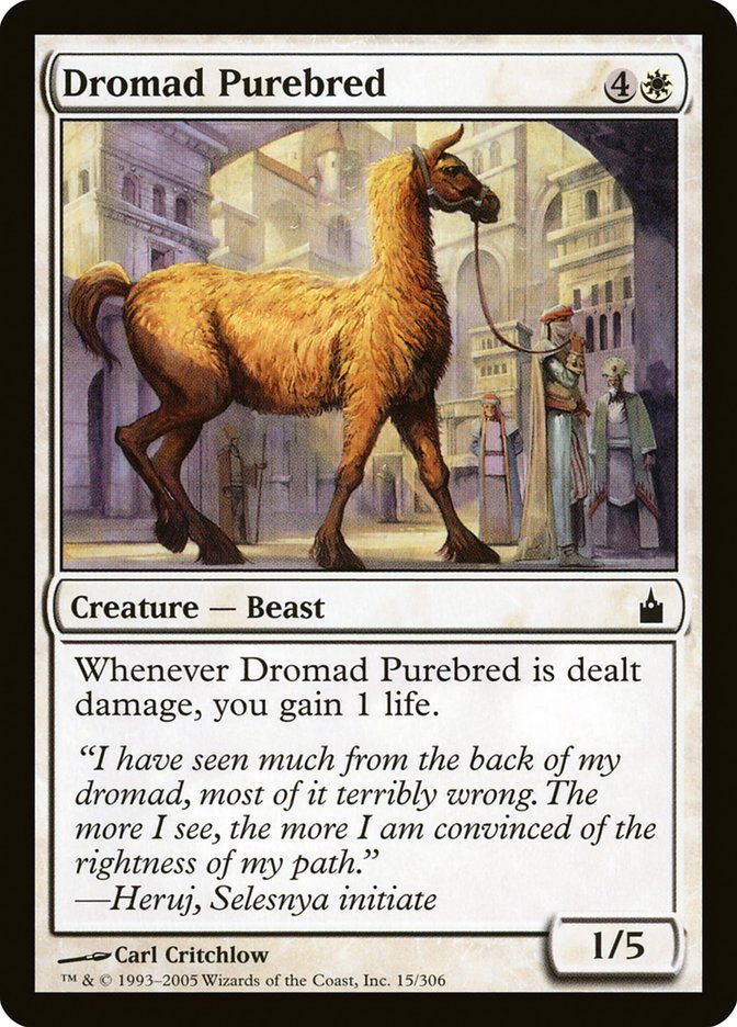 Dromad Purebred [Ravnica: City of Guilds] | Impulse Games and Hobbies