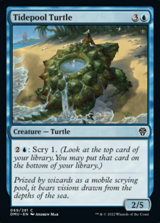 Tidepool Turtle [Dominaria United] | Impulse Games and Hobbies