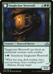 Tangleclaw Werewolf // Fibrous Entangler [Eldritch Moon] | Impulse Games and Hobbies