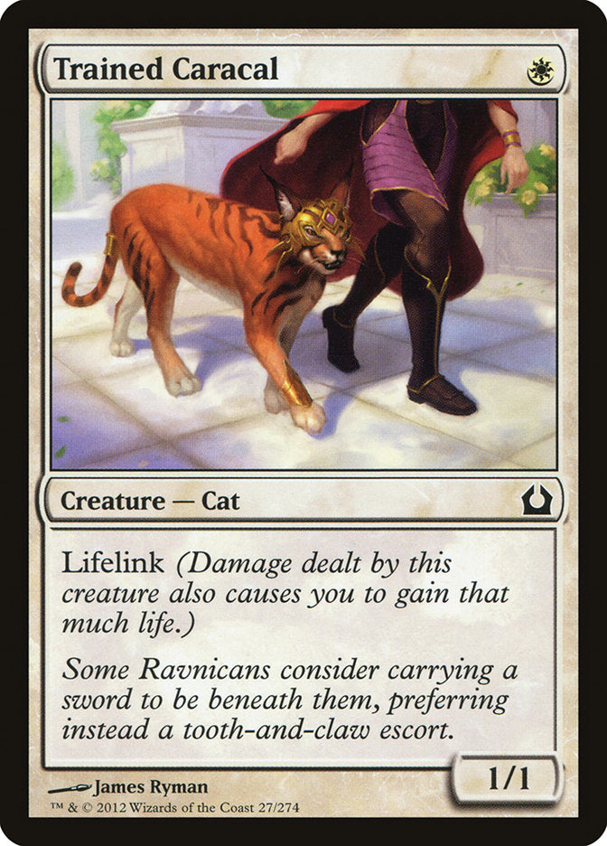 Trained Caracal [Return to Ravnica] | Impulse Games and Hobbies