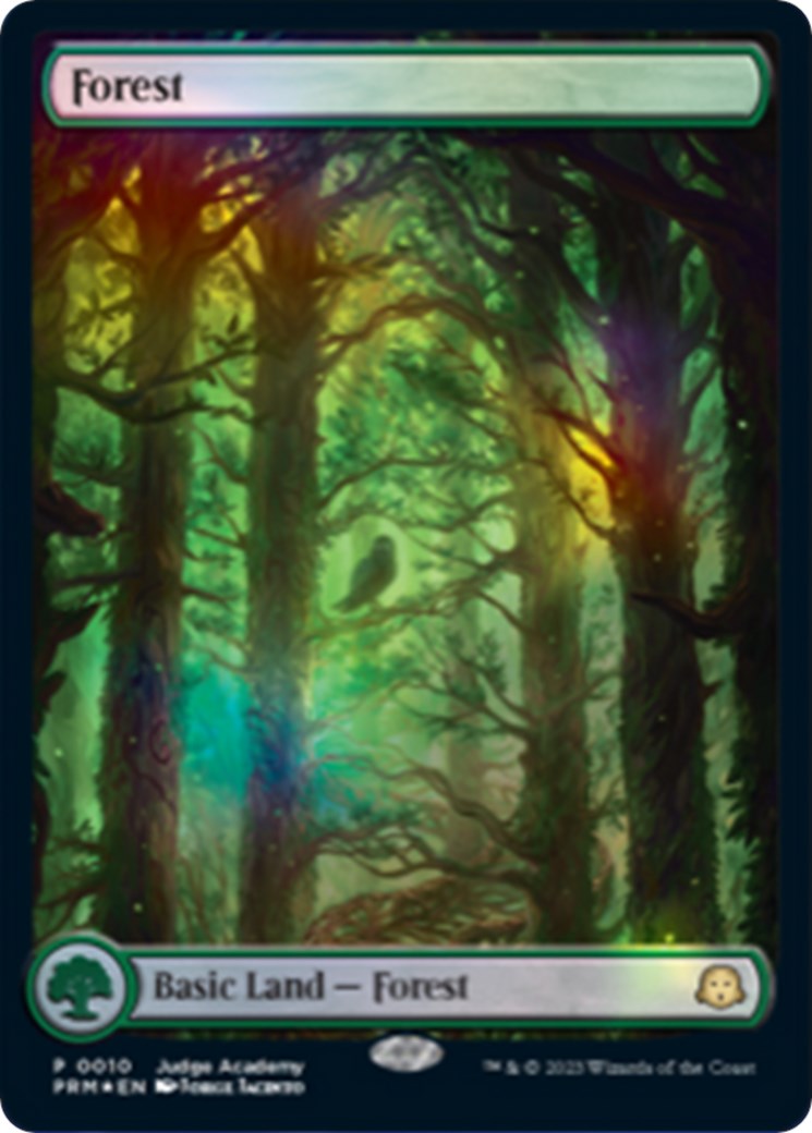 Forest [Judge Gift Cards 2023] | Impulse Games and Hobbies