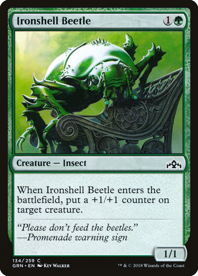 Ironshell Beetle [Guilds of Ravnica] | Impulse Games and Hobbies