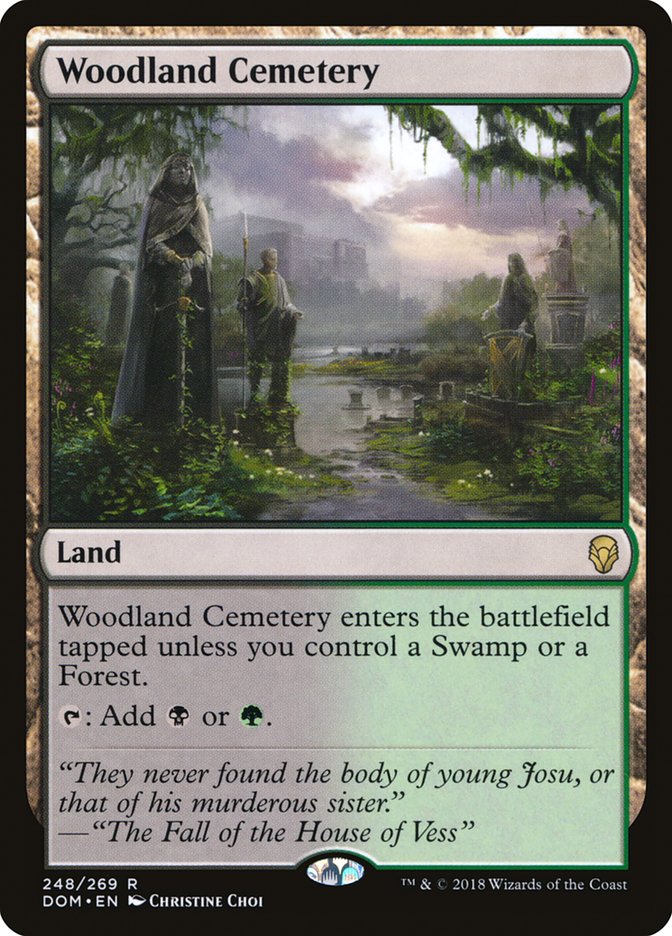 Woodland Cemetery [Dominaria] | Impulse Games and Hobbies