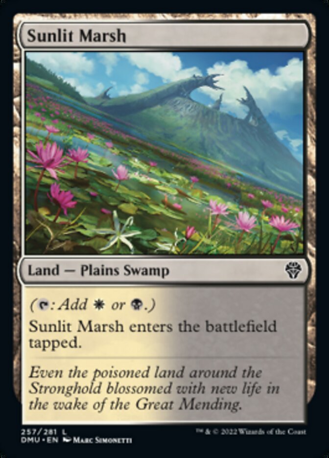 Sunlit Marsh [Dominaria United] | Impulse Games and Hobbies