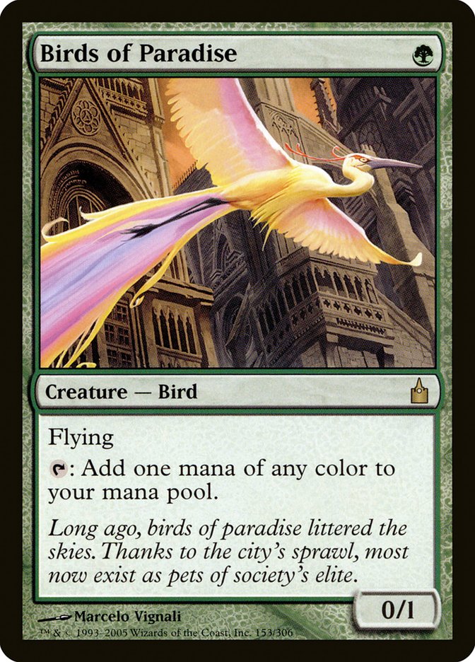 Birds of Paradise [Ravnica: City of Guilds] | Impulse Games and Hobbies