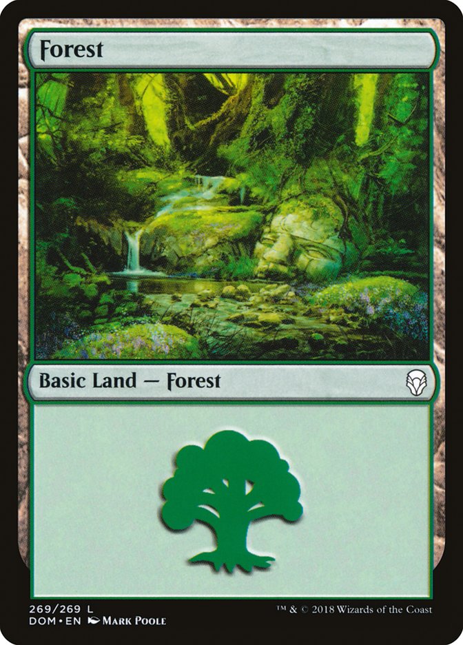 Forest (269) [Dominaria] | Impulse Games and Hobbies