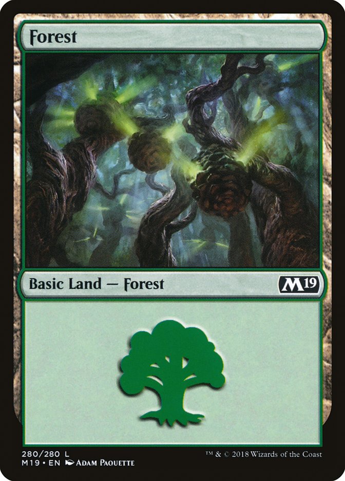 Forest (280) [Core Set 2019] | Impulse Games and Hobbies