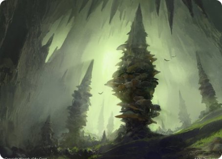 Forest (280) Art Card [Dungeons & Dragons: Adventures in the Forgotten Realms Art Series] | Impulse Games and Hobbies