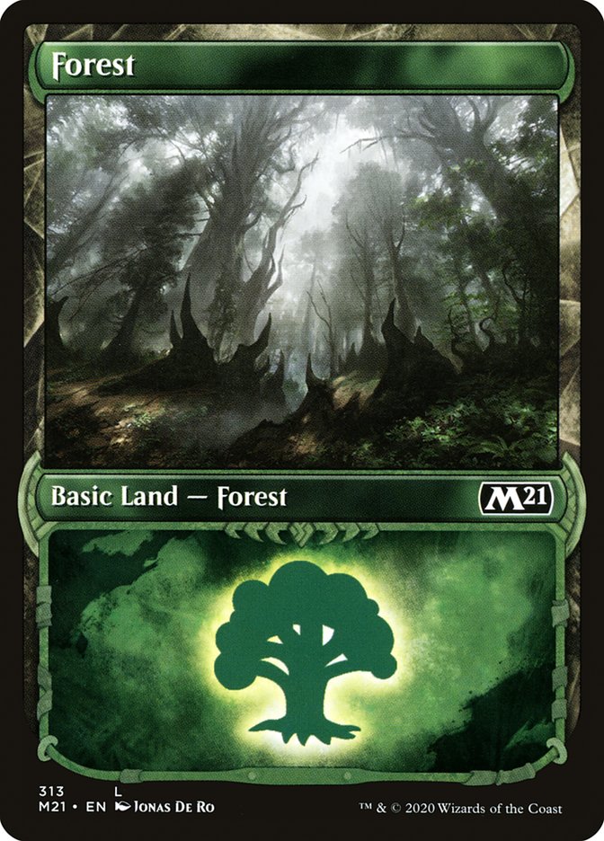 Forest (313) (Showcase) [Core Set 2021] | Impulse Games and Hobbies
