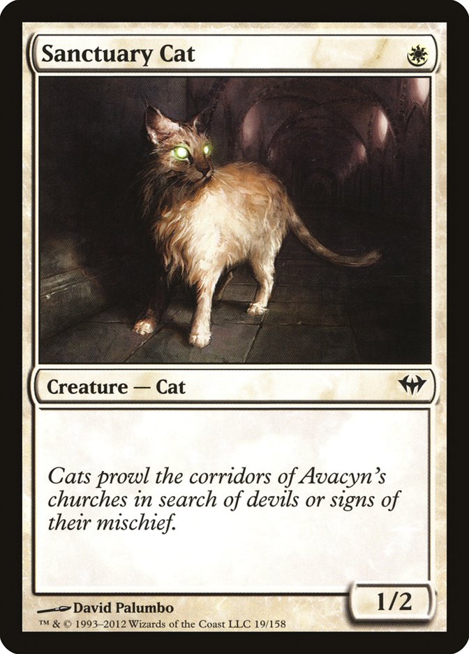 Sanctuary Cat [Dark Ascension] | Impulse Games and Hobbies