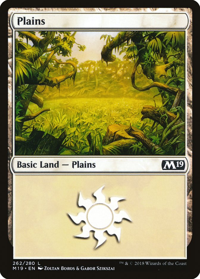 Plains (262) [Core Set 2019] | Impulse Games and Hobbies