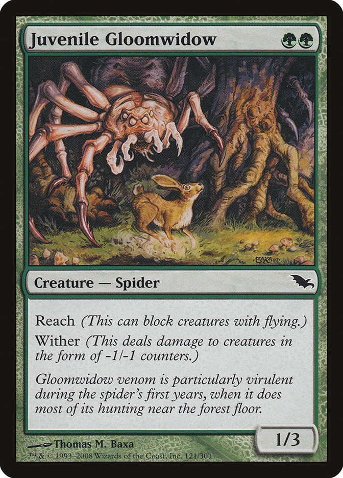 Juvenile Gloomwidow [Shadowmoor] | Impulse Games and Hobbies