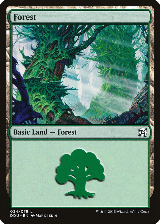 Forest (34) [Duel Decks: Elves vs. Inventors] | Impulse Games and Hobbies