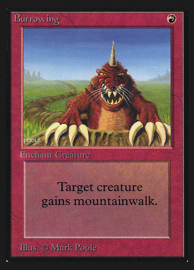 Burrowing [Collectors' Edition] | Impulse Games and Hobbies