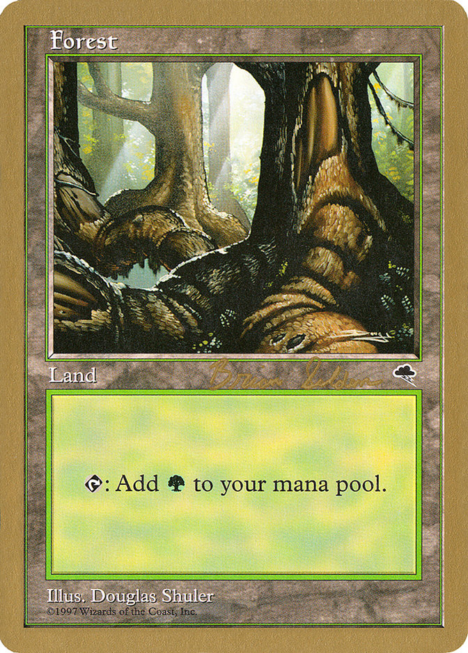 Forest (bs348) (Brian Selden) [World Championship Decks 1998] | Impulse Games and Hobbies